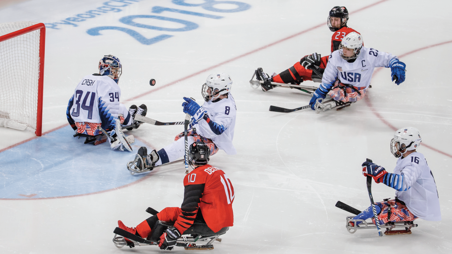 image of Paralympic Sled Hockey (Para Ice Hockey / Sledge Hockey)